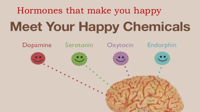 How To Hack The Happiness Chemicals – Circle 2 Success