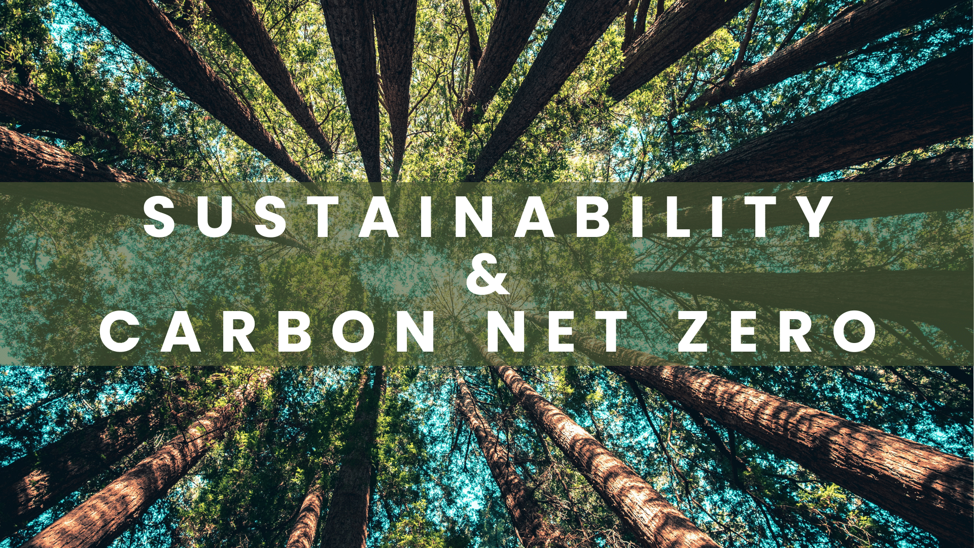 Sustainability and Net Zero – Circle 2 Success