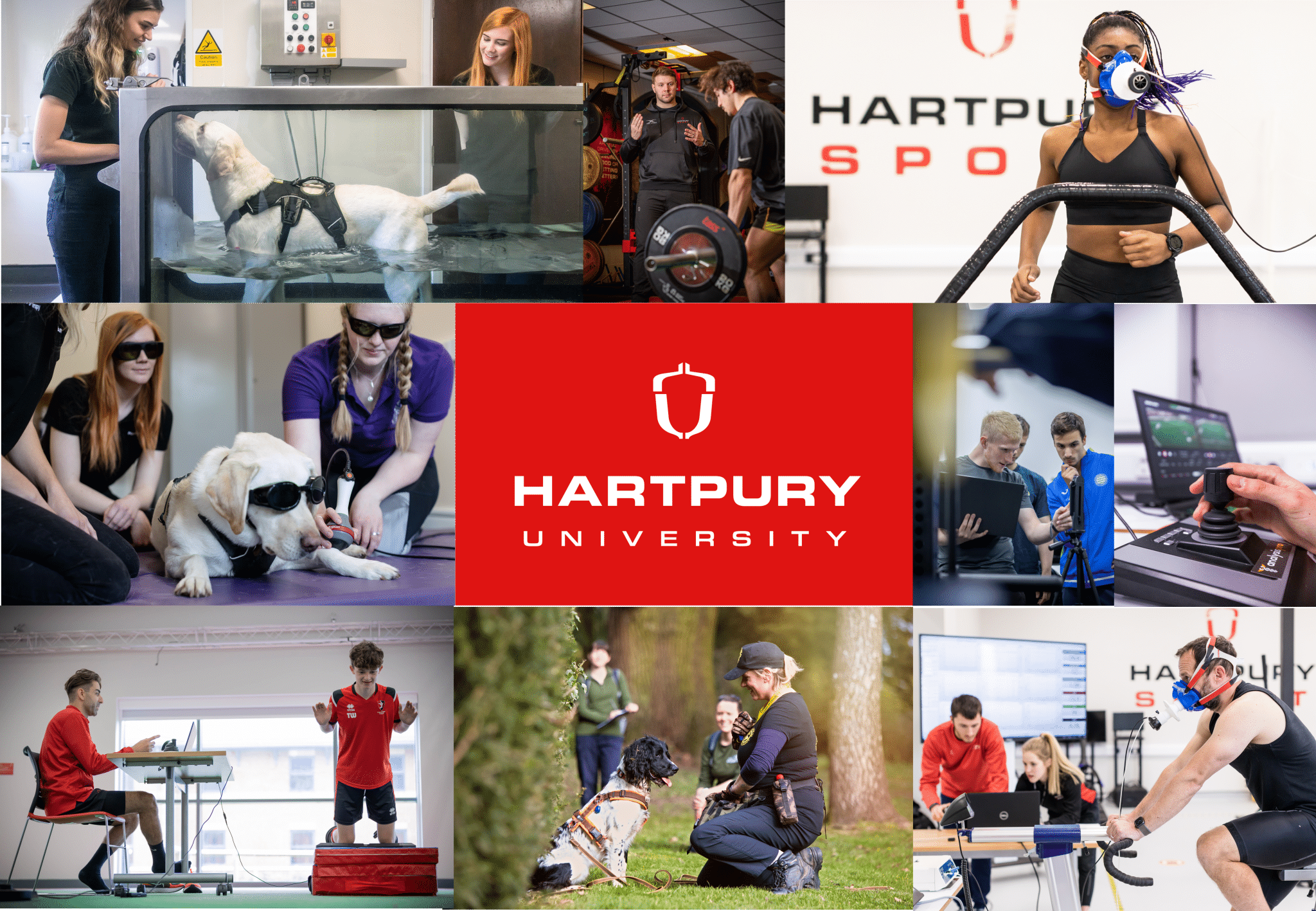 knowledge-transfer-partnerships-with-hartpury-university-circle-2-success